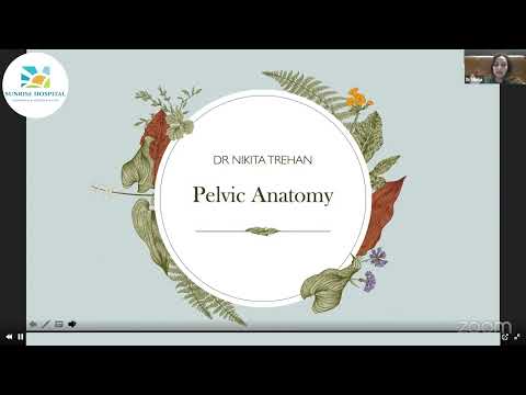 Pelvic Anatomy and Pelvic Spaces “ a teaching video.